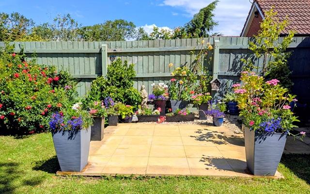Best Garden 2026 Photo